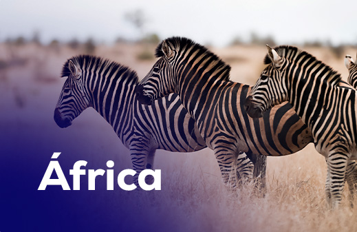 africa-1.jpg